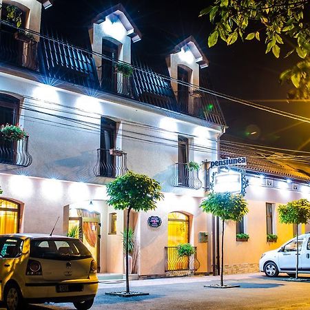 Hotel-Pensiunea Zefir Тимишоара Экстерьер фото